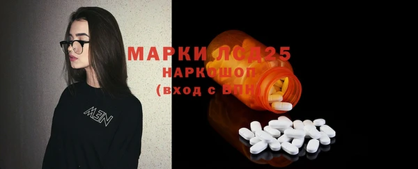 ГАЛЛЮЦИНОГЕННЫЕ ГРИБЫ Гусиноозёрск