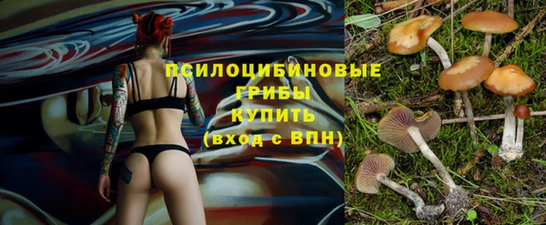 каннабис Гусев