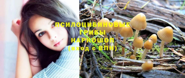 каннабис Гусев