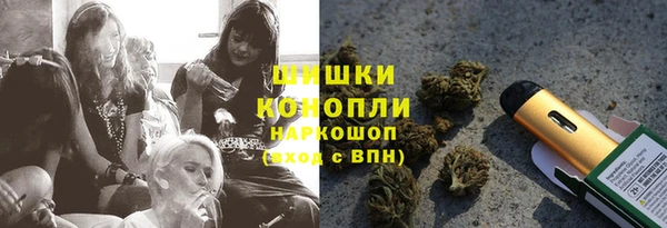 ГАЛЛЮЦИНОГЕННЫЕ ГРИБЫ Гусиноозёрск