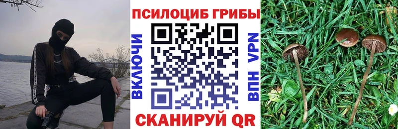хочу   Новая Усмань  Псилоцибиновые грибы мицелий 